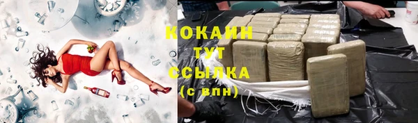 сатива Баксан