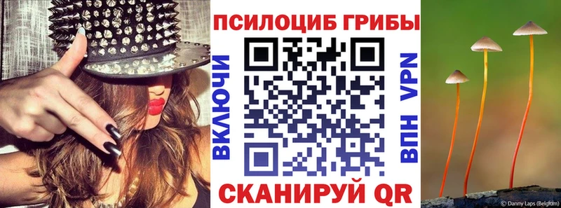 Псилоцибиновые грибы прущие грибы  даркнет сайт  Калининец 